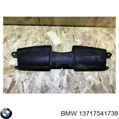 Entrada Del Filtro De Aire BMW 13717541738