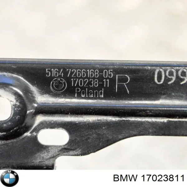  17023811 BMW