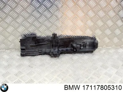 Abrazadera de silenciador trasera BMW 17117805310
