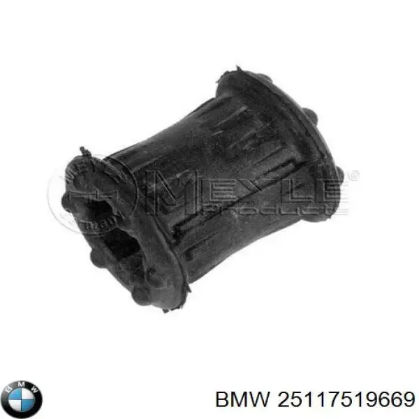 25117519669 BMW
