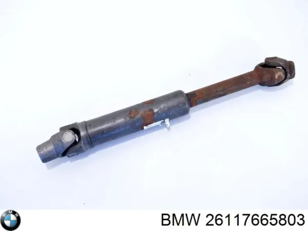  26117665803 BMW