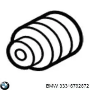 Suspensión, cuerpo del eje trasero BMW 33316792872