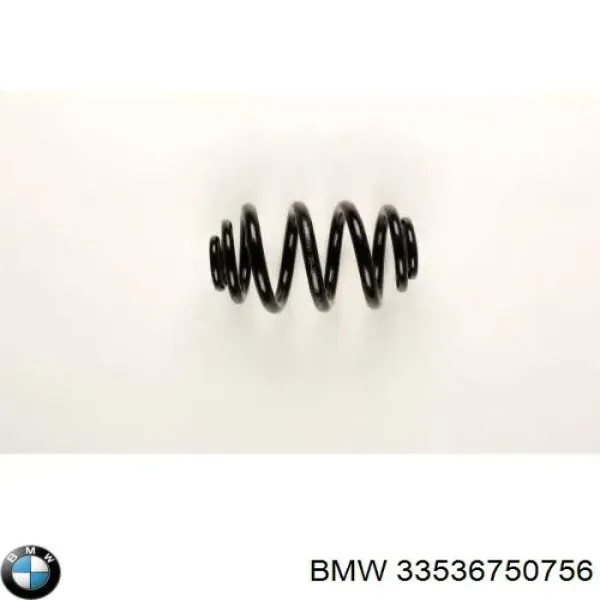 Muelle 33536750756 BMW