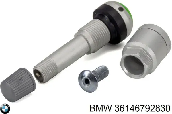 V10720834 Vemo