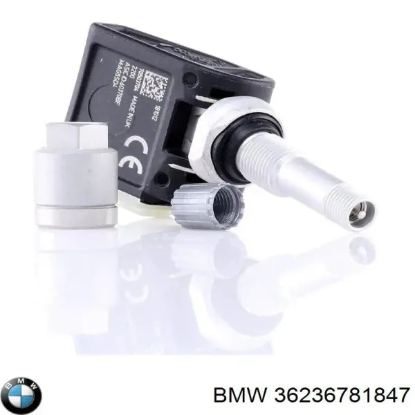 V10720833 Vemo