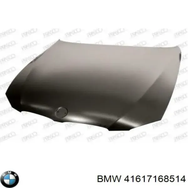 Capó 41617168514 BMW