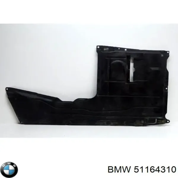  51164310 BMW