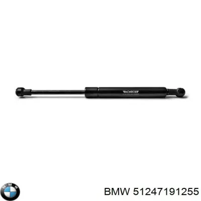 Amortiguador de maletero BMW 51247191255