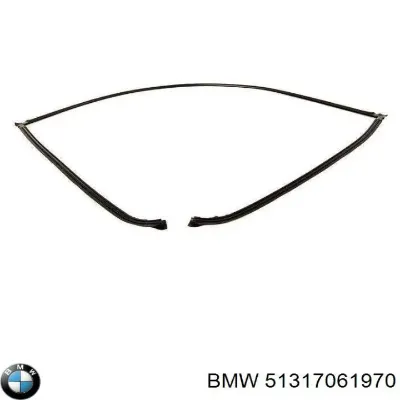 Moldura de luneta trasera BMW 51317061970