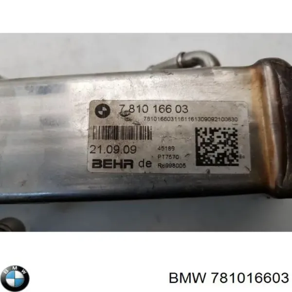  781016603 BMW