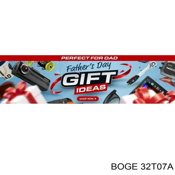 32T07A Boge Amortiguadores posteriores