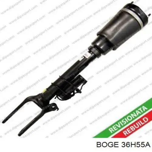 Amortiguador RS315526 Raiso