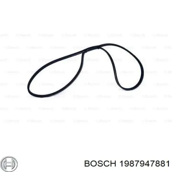 Correa trapezoidal Toyota Celica T16