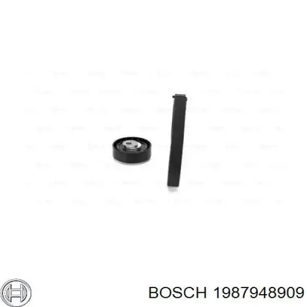 Kit correa de distribución Ford Focus 1 DFW