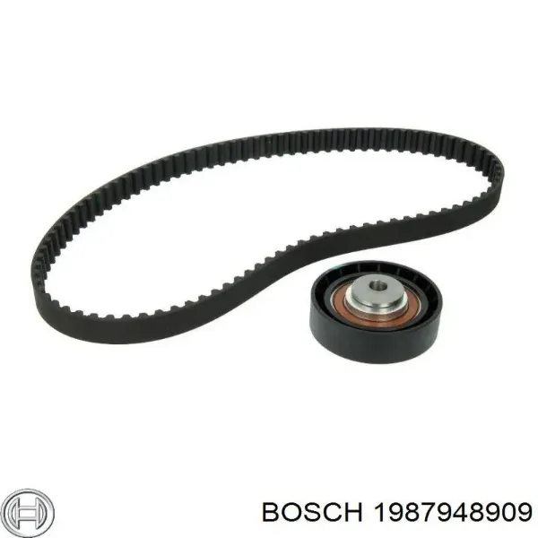 Kit correa de distribución Ford Focus 1 DFW