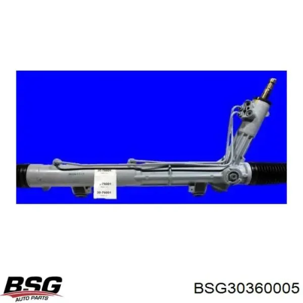 SS1134 DP Group