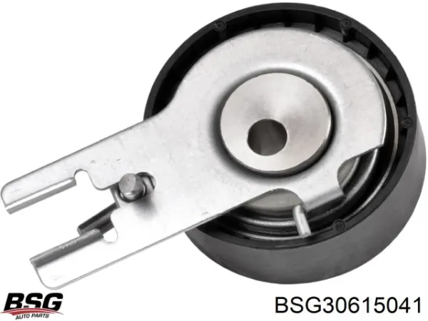 Rodillo, cadena de distribución Volvo S80 2 AS, AR