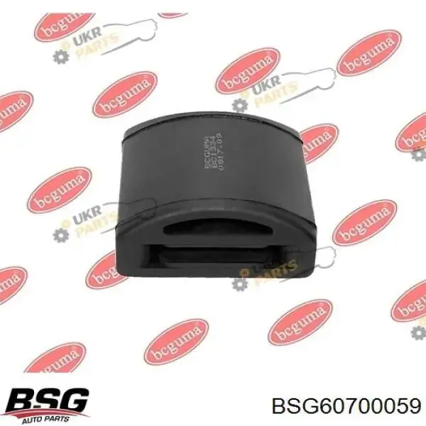 Tope de ballesta trasera BSG60700059 BSG