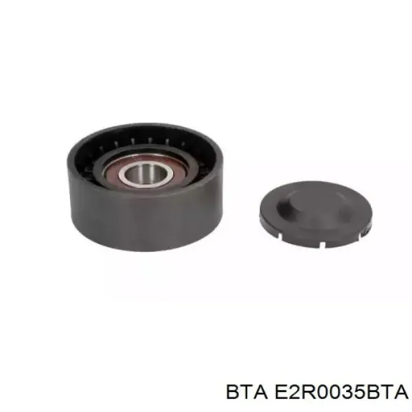 Polea tensora correa poli V E2R0035BTA BTA