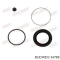 Pinza de freno delantera izquierda BMW 3 E21
