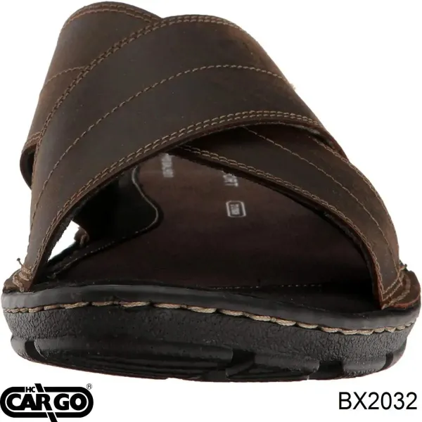 Escobillas alternador BX2032 Cargo