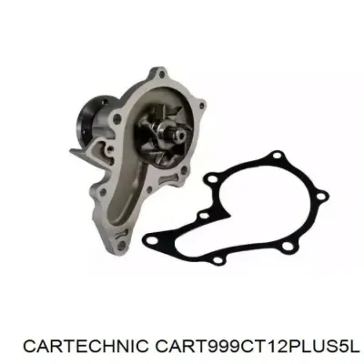 Refrigerante CARTECHNIC CART999CT12PLUS5L