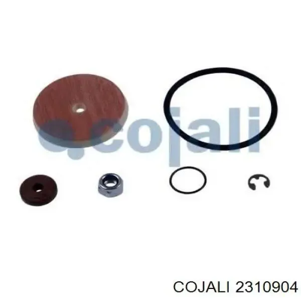 Filtro del desecador de aire (separador de agua y aceite) (camión) 2310904 Cojali