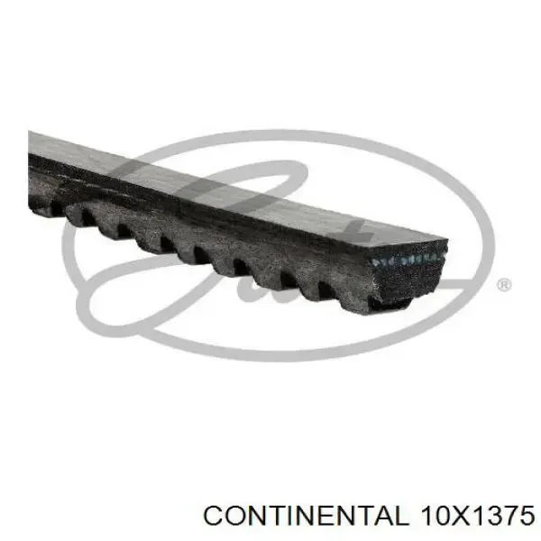Correa de alternador 10X1375 Continental/Siemens