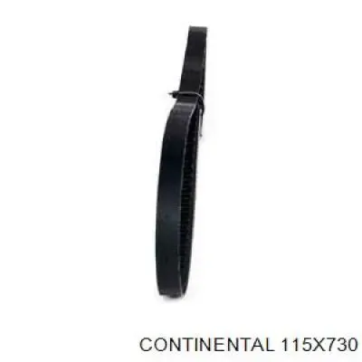 Correa de alternador 115X730 Continental/Siemens
