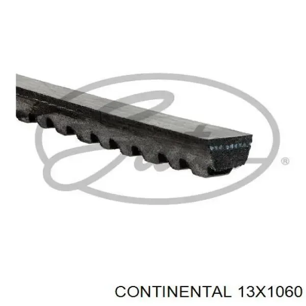 Correa de alternador 13X1060 Continental/Siemens