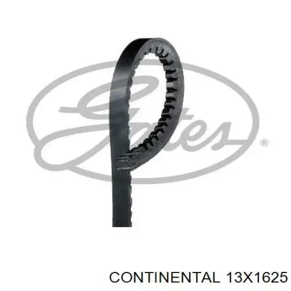 Correa de alternador 13A1625HD Dayco
