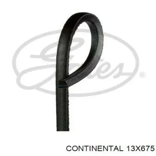 Correa de alternador 13X675 Continental/Siemens