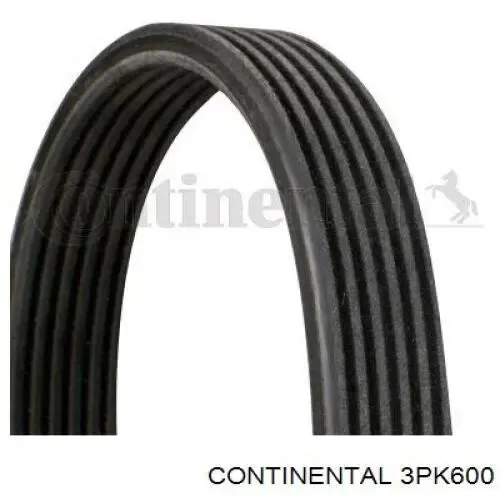 Correa de alternador 3PK600 Continental/Siemens