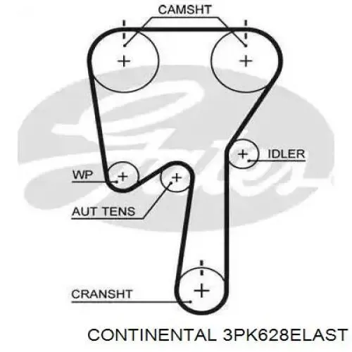 Correa trapezoidal Toyota Celica T16