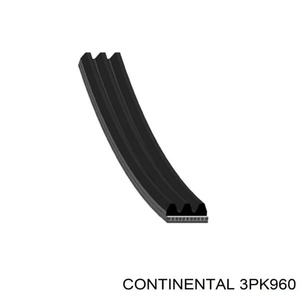 Correa de alternador 3PK960 Continental/Siemens