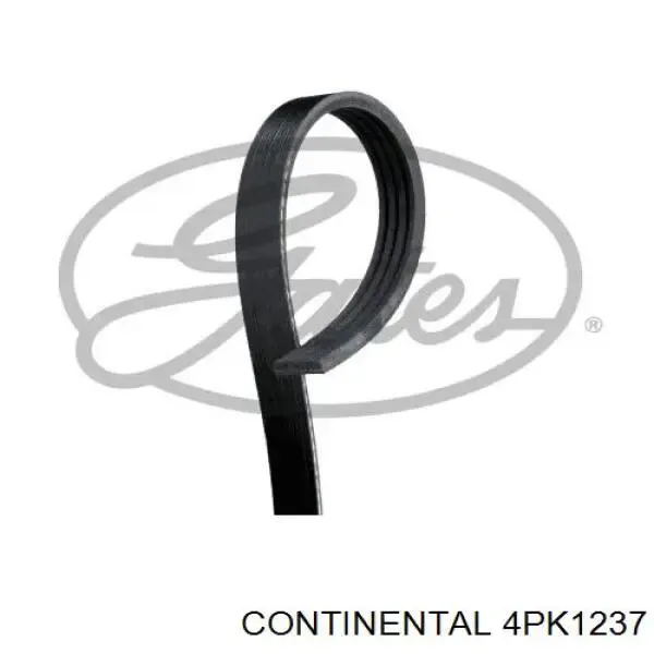 Correa de alternador 4PK1237 Continental/Siemens