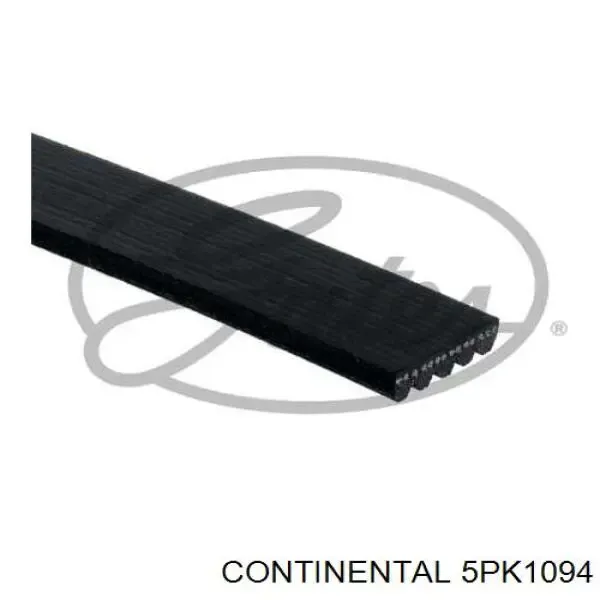 Correa de alternador 5PK1094 Continental/Siemens