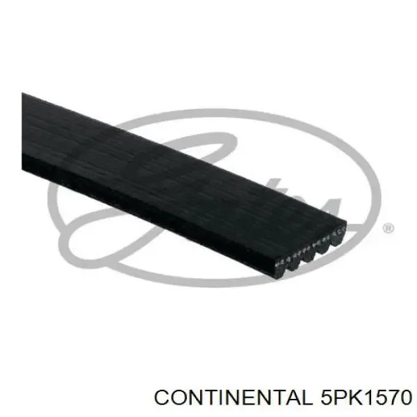 Correa de alternador 5PK1570 Continental/Siemens