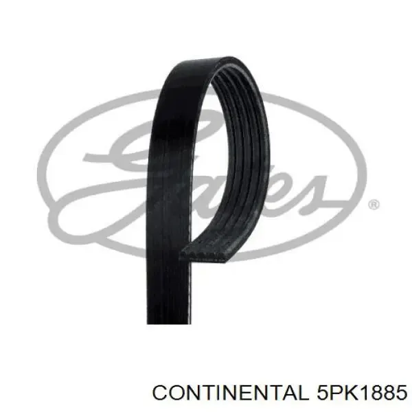 Correa de alternador 5PK1885 Continental/Siemens