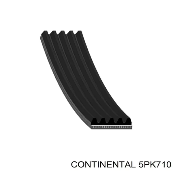 Correa de alternador 5PK710 Continental/Siemens