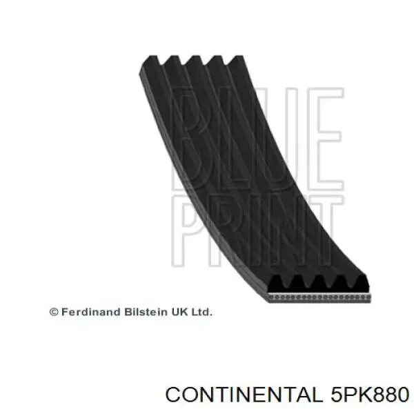 Correa de alternador 5PK880 Continental/Siemens