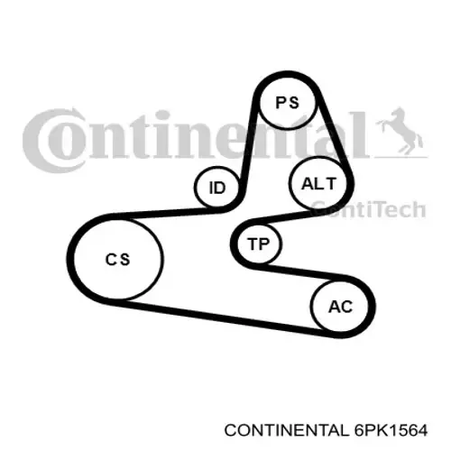 Correa de alternador 6PK1564 Continental/Siemens