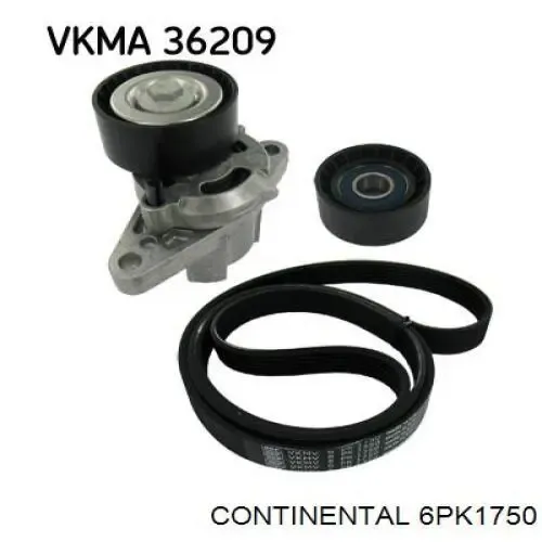 Correa trapezoidal Volkswagen LT 2DB, 2DE, 2DK