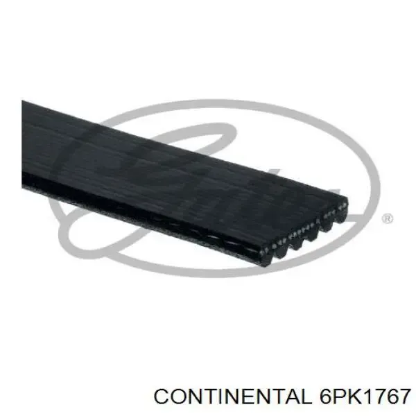Correa de alternador 6PK1767 Continental/Siemens
