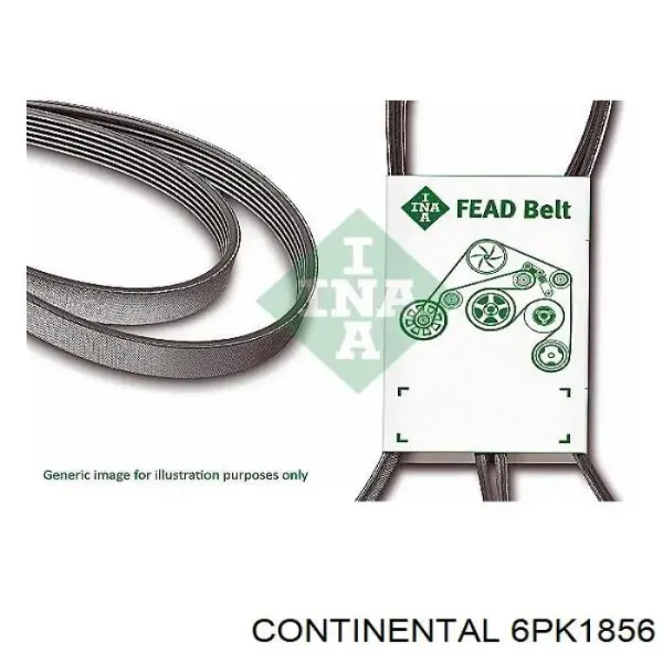 Correa de alternador 6PK1856 Continental/Siemens