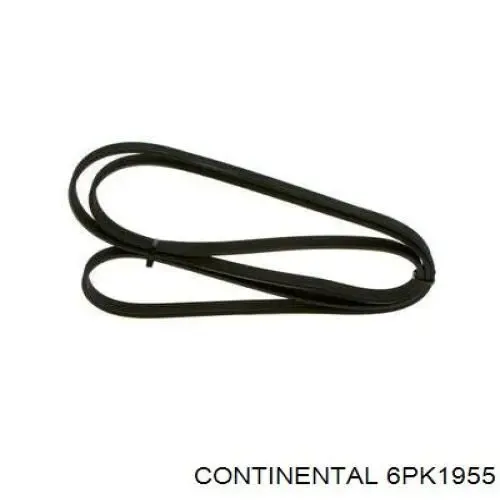 Correa de alternador 6PK1955 Continental/Siemens