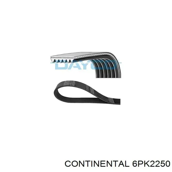 Correa de alternador 6PK2250 Continental/Siemens