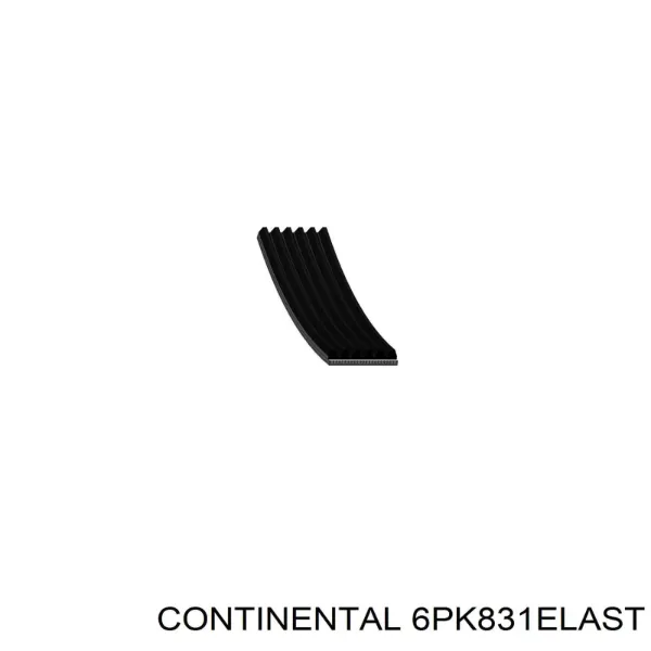 Correa de alternador 6PK831ELAST Continental/Siemens