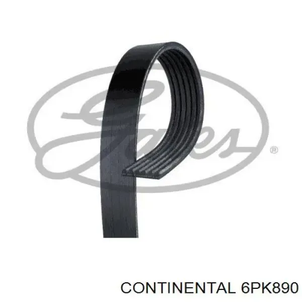 Correa de alternador 6PK890 Continental/Siemens