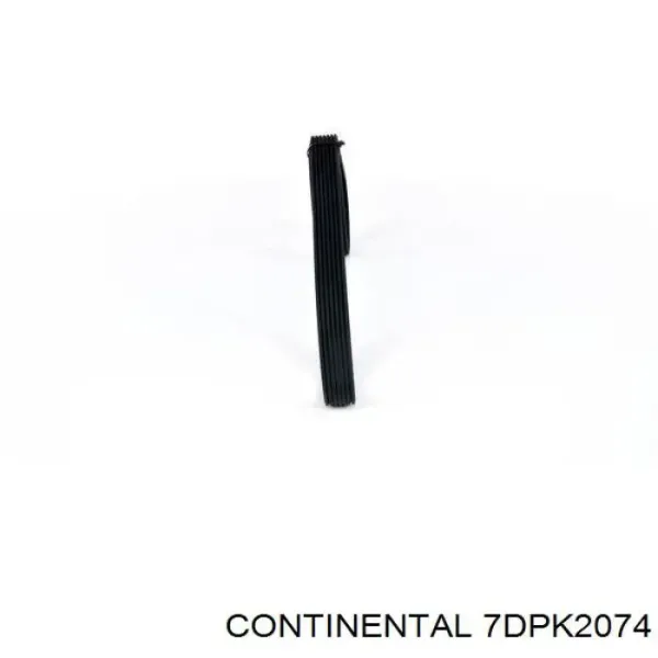 Correa de alternador 7DPK2074 Continental/Siemens